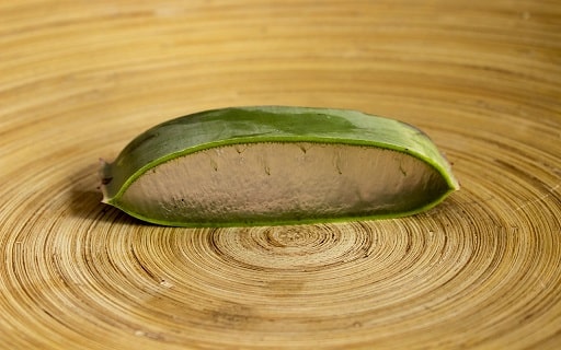 Aloe vera pomáha pri cukrovke