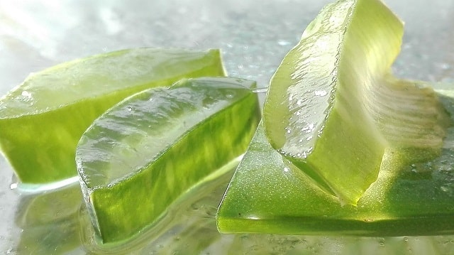 Aloe vera je výborným pomocníkom pri detoxe