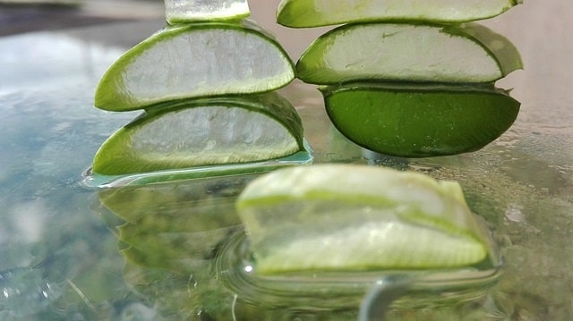 Čistý Aloe vera je vhodný na každodenné pitie ako prevencia proti zdravotným problémom
