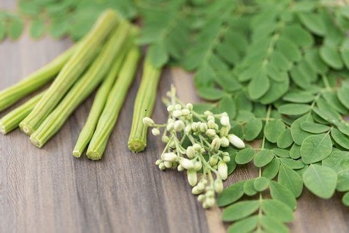 moringa