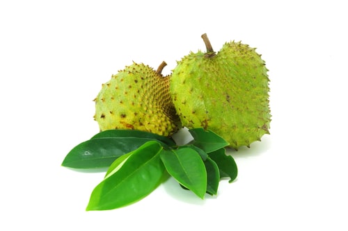 Graviola